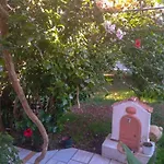 House With Garden Near The Sea * איה אפימיה