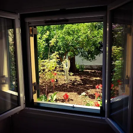 House With Garden Near The Sea *