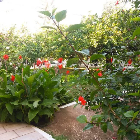 House With Garden Near The Sea 公寓 Agia Efimia