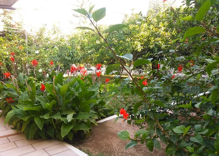 House With Garden Near The Sea Lägenhet Agia Efimia